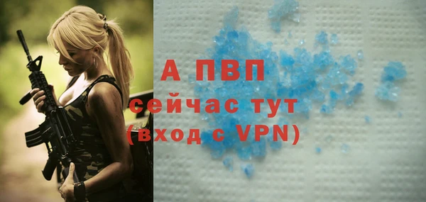 прущие крисы Белокуриха