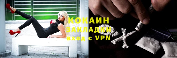 прущие крисы Белокуриха