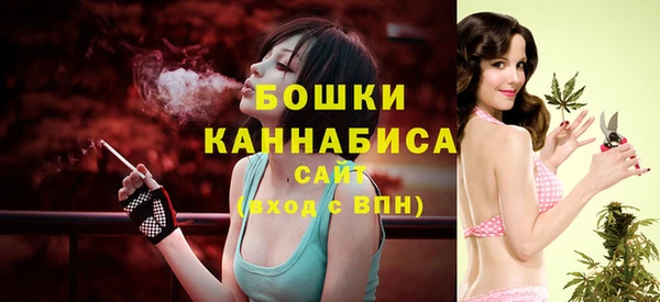 прущие крисы Белокуриха