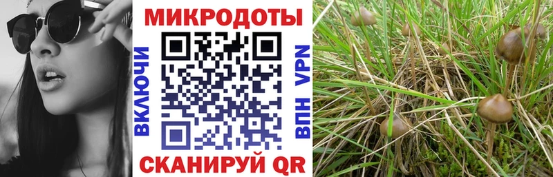 купить закладку  Видное  Псилоцибиновые грибы прущие грибы 